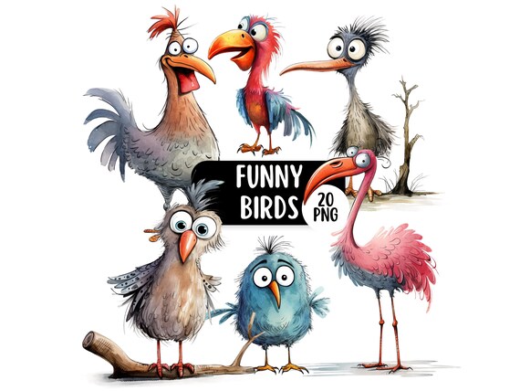 Funny Birds PNG Clipart Bundle, Cute Birds Graphics, Transparent Backgrounds, Commercial Use, Digital Paper Craft, Junk Journal