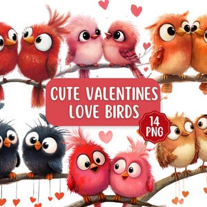 Niedliche Valentinstag Liebe Vögel 14 PNG Bundle | Transparente Hintergründe | Kommerzielle Nutzung | Valentinstag Clipart | Muttertag PNG