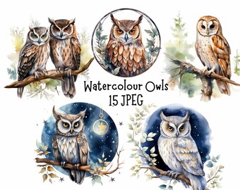 Pacchetto di clipart di gufi ad acquerello, 15 immagini JPEG, clipart di animali della foresta e del bosco
