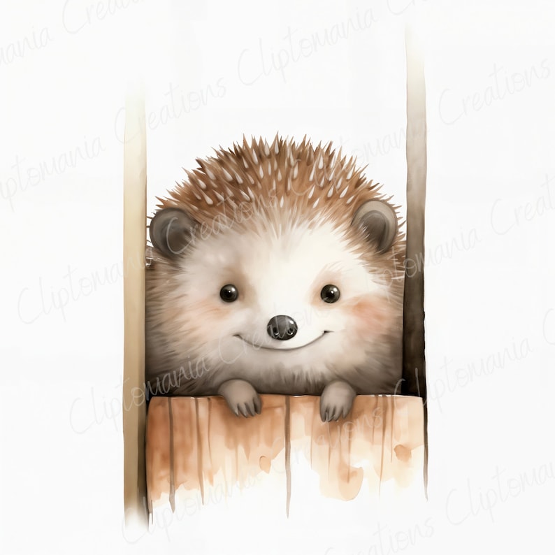 May include: A watercolor painting of a brown and white hedgehog peeking over a wooden fence. The hedgehog has a cute, smiling face and is looking directly at the viewer.