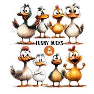 Lustige Ente Clipart Bundle, lustige Bauernhof Tier Clipart, digitaler Download, süße schrullige Ente PNG, kommerzielle Nutzung, Stockente Ente Bild 1