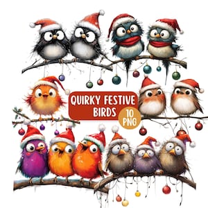 May include: A digital illustration of ten quirky, festive birds perched on a branch, each wearing a Santa hat. The birds are in various colors, with dangling ornaments and the text "Quirky Festive Birds 10 PNG".