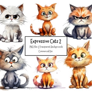 Lot de 20 cliparts drôles de chats expressifs 2 | Fonds transparents | Utilisation commerciale | Clipart animal de compagnie | Créations numériques en papier