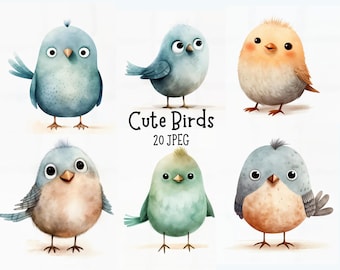 Cute Watercolour Bird Clipart Bundle 20 JPEG, White Backgrounds, Commercial Use Digital Download, Whimsical Birds, Watercolour Birds