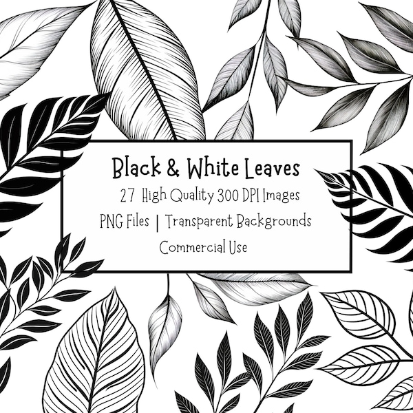 Black & White Leaves Clipart Bundle | 27 High Quality PNG Files With Transparent Backgrounds | Commercial Licence | Botanical Illustrations