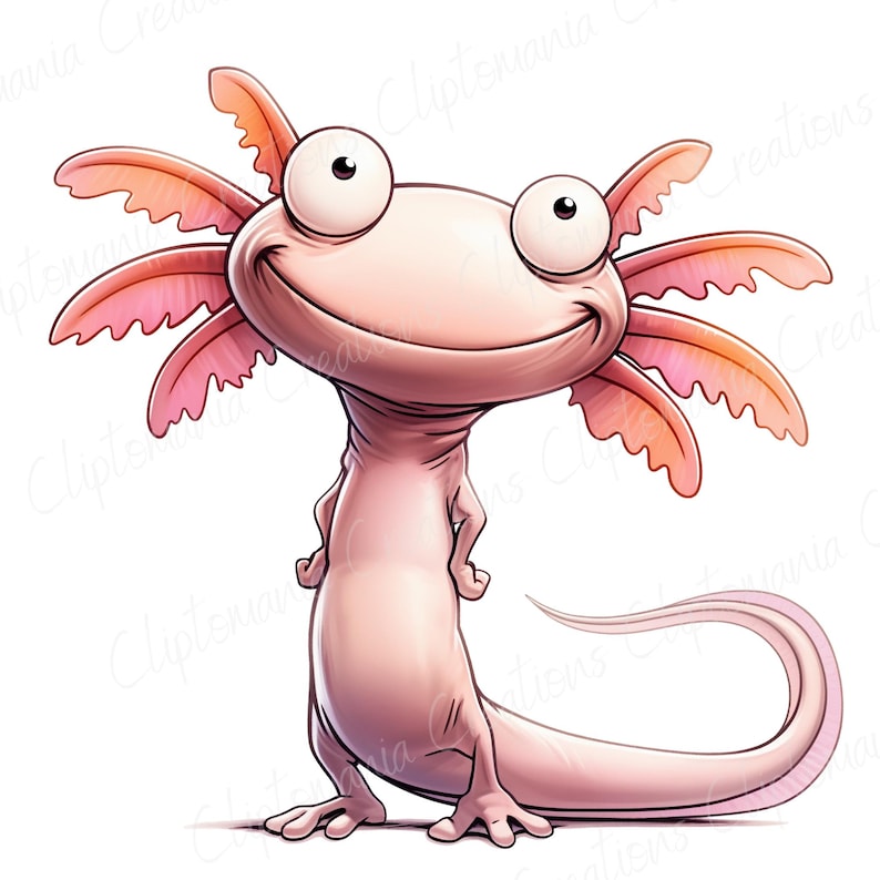 May include: A cartoon illustration of a smiling axolotl. The axolotl is a light pink colour with large, round eyes and feathery gills in shades of pink and orange. It is standing upright with its arms crossed and a long, curved tail.