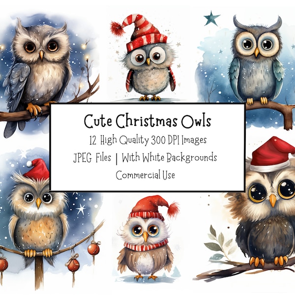 Cute Christmas Owl Clipart Bundle | 12 High Quality JPEG Illustrations With Backgrounds | Commercial Use | Digital Paper Craft | Card Making