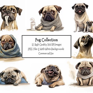 Lindo y divertido paquete de imágenes prediseñadas de perro Pug / 12 imágenes de alta calidad de 300 ppp con fondos blancos / uso comercial / artesanía de papel digital