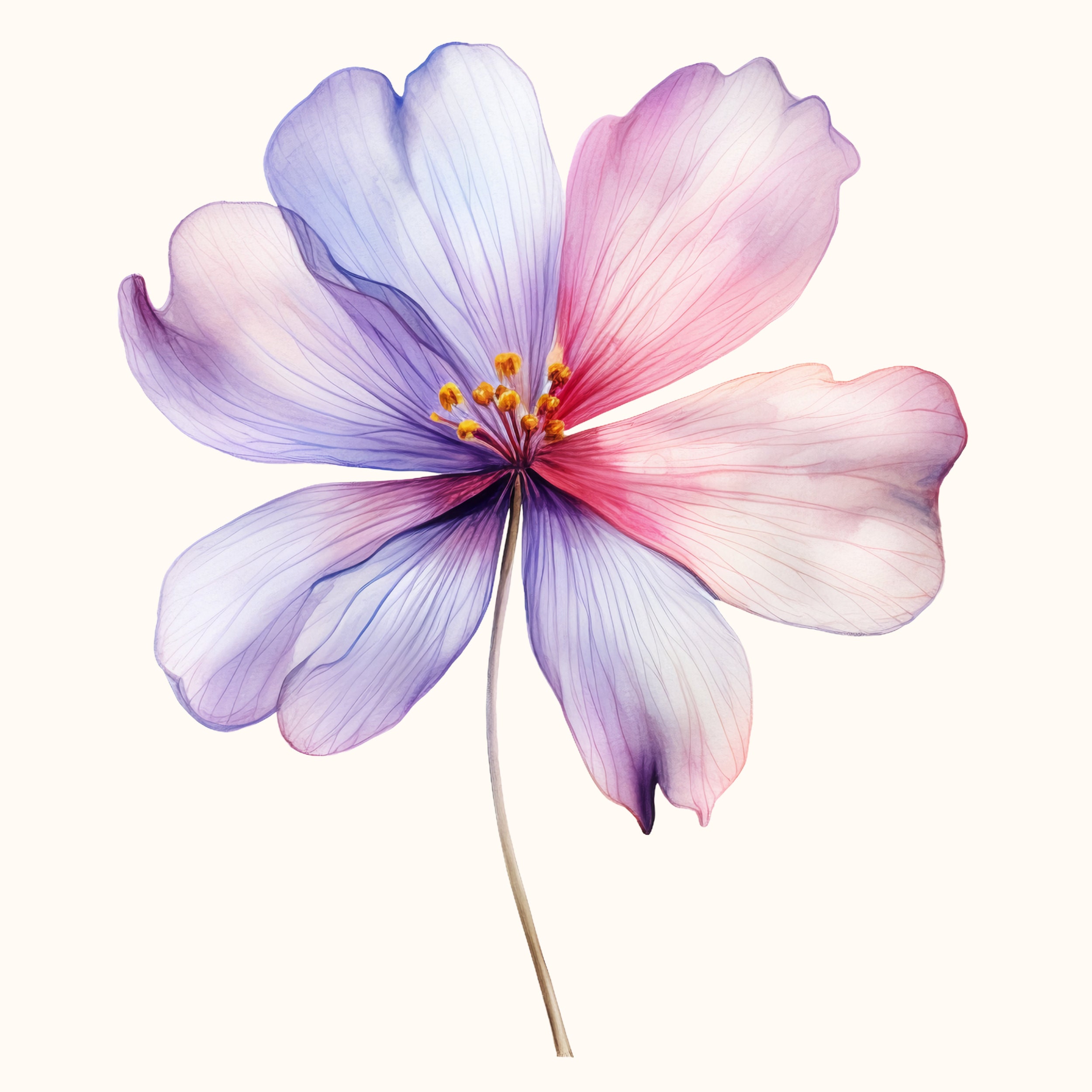 14 Watercolour Spring Flowers Clipart Bundle | High Quality 300DPI PNG ...