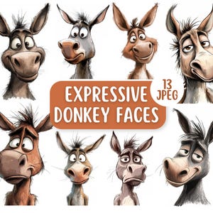 Paquete de 13 imágenes prediseñadas JPEG con caras de burro divertidas y expresivas / Animales de granja / Diseños para hacer tarjetas / Dibujos animados de burro peculiares / Burros en acuarela