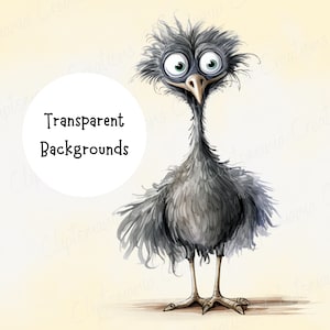 May include: A whimsical illustration of a cartoon emu with large, expressive eyes and a surprised expression. The bird is primarily gray with a fluffy appearance, standing on two legs. The image includes the text "Transparent Backgrounds".