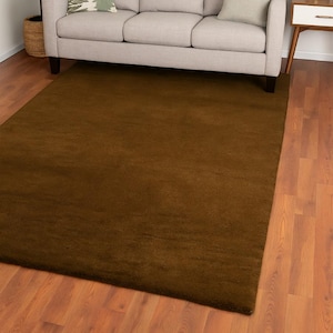 May include: A large, rectangular brown rug covers a hardwood floor. A light gray sofa with two decorative pillows sits against a white wall, with a framed mirror above. A potted plant is in the corner.