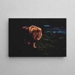 CANVAS PICTURE by LÖWE at NIGHT - High-quality nature wall picture by Löwe - Ideal as a decoration in your own four walls or as a gift