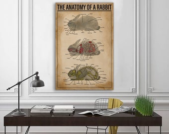 The Anatomy Of A Rabbit Poster, Knowledge Poster, Rabbit Poster, Breeds Of Rabbits Wall Decor, Rabbit Lovers Gift, Education Wall Decor