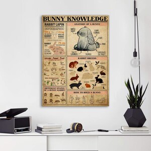 May include: A vintage-style poster with the title "Bunny Knowledge" and illustrations of rabbits. The poster includes information about rabbit anatomy, breeds, safe and unsafe foods, and how to hold a rabbit.