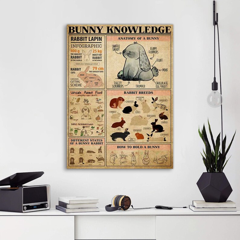 May include: A vintage-style poster with the title "Bunny Knowledge" and illustrations of rabbits. The poster includes information about rabbit anatomy, breeds, safe and unsafe foods, and how to hold a rabbit.