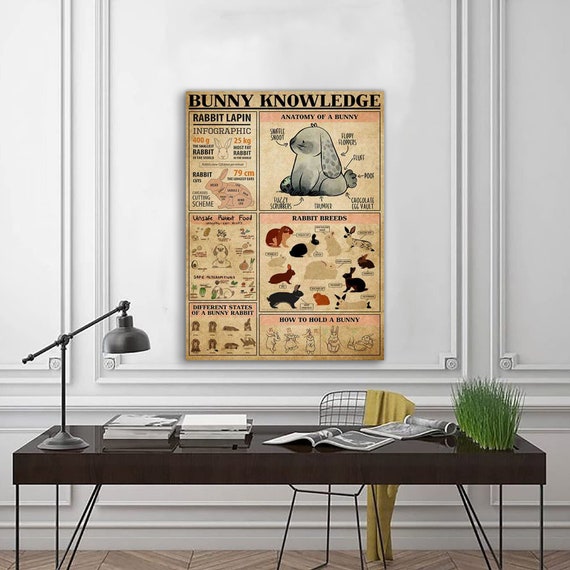 Bunny Knowledge Poster, Bunny Lover Gift, Bunnies Print, Bunny Gifts, Bunny Wall Art, Bunny Poster, Vintage Bunny Wall Art