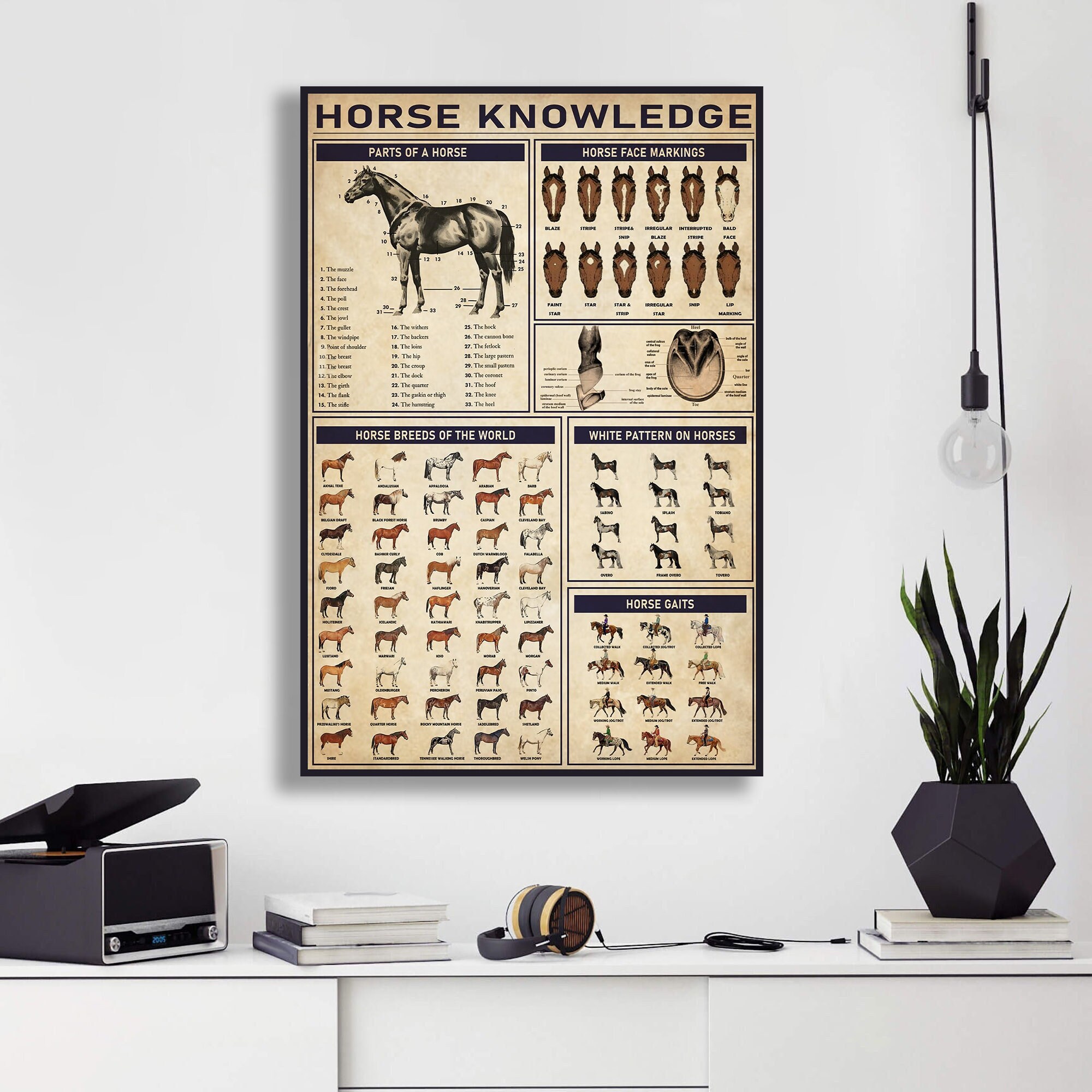 Horse Knowledge Poster, Horse Poster, Wall Art Home, Farm Knowledge