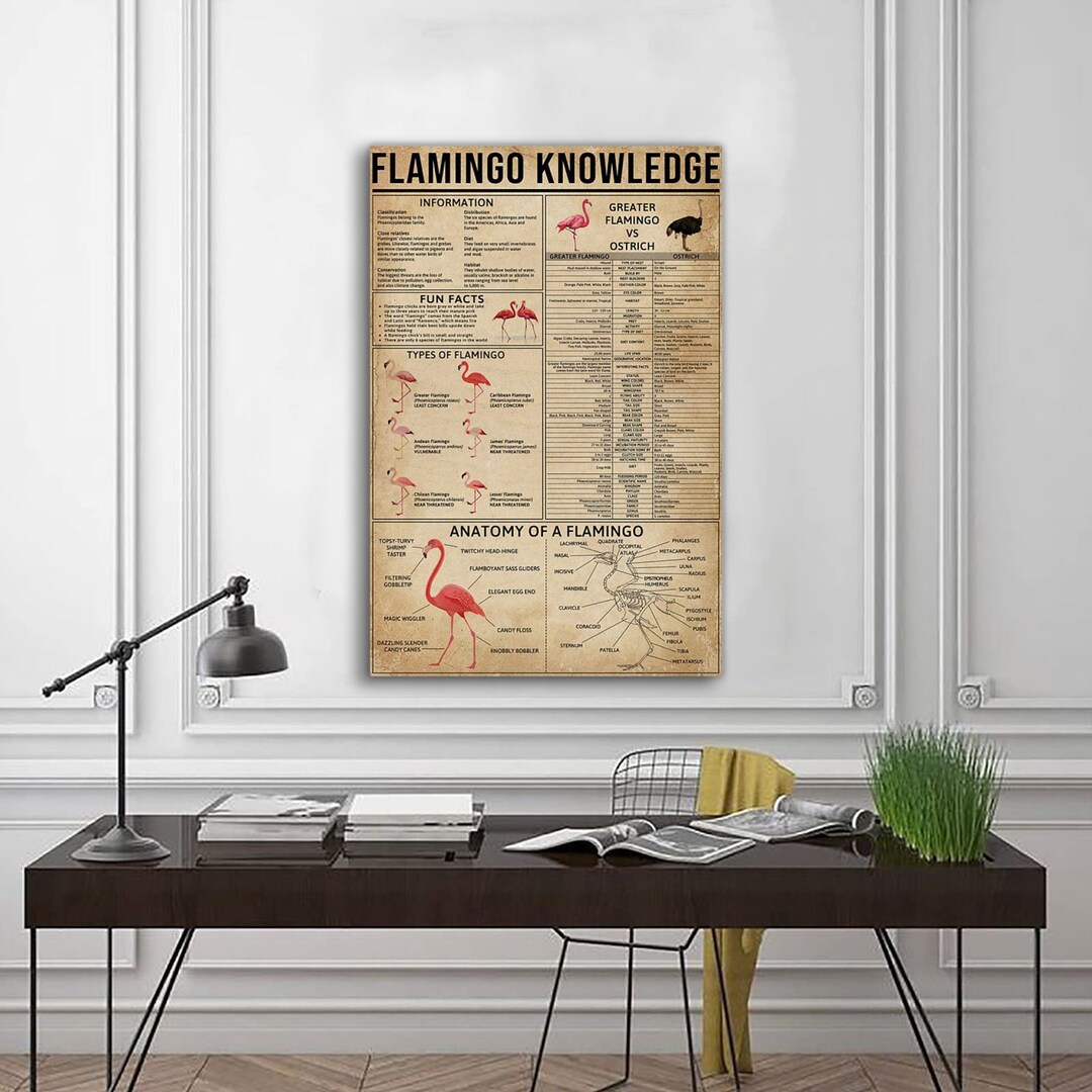 Flamingo Knowledge Poster, Flamingo Poster, Bird Lovers Art, Flamingo ...
