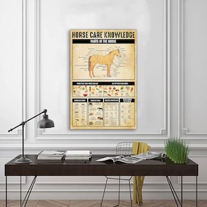 Parti di conoscenza sulla cura del cavallo del poster del cavallo, poster sulla conoscenza della fattoria, decorazioni per la casa, poster sull'anatomia del cavallo, regalo per cowboy cowgirl
