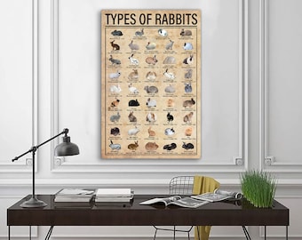 Types Of Rabbits Knowledge Poster, Rabbits Poster, Knowledge Lovers, Gifts Breeds Of Rabbits, Rabbit Lovers Gift, Education Wall Decor