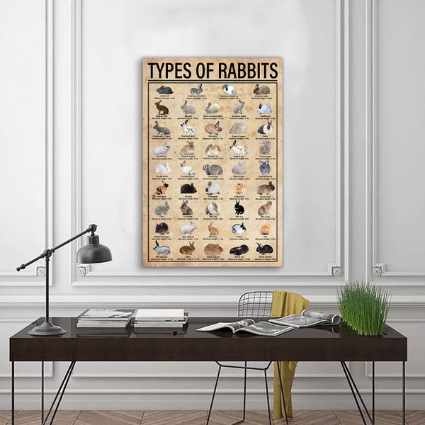 Types Of Rabbits Knowledge Poster, Rabbits Poster, Knowledge Lovers, Gifts Breeds Of Rabbits, Rabbit Lovers Gift, Education Wall Decor