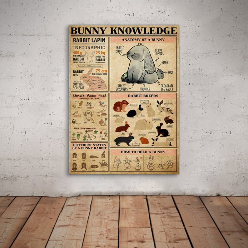 May include: A vintage-style poster with the title "Bunny Knowledge" and illustrations of rabbits. The poster includes information about rabbit anatomy, breeds, and care. It also shows different states of a bunny rabbit and how to hold a bunny.