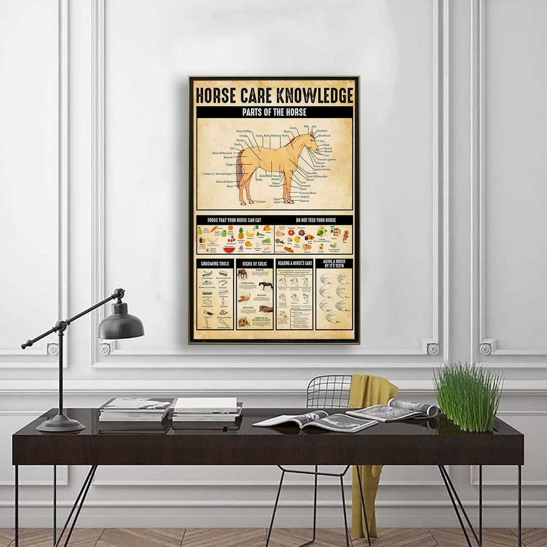 Horse Care Knowledge Poster, Horse Poster, Wall Art Home, Farm