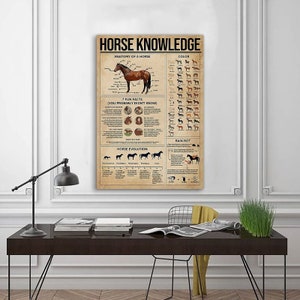 Conoscenza del cavallo Poster del cavallo, Arte della parete per la casa, Poster della conoscenza della fattoria Decorazioni per la casa, Poster dell'anatomia del cavallo, Poster dell'amante, Regalo per Cowboy Cowgirl