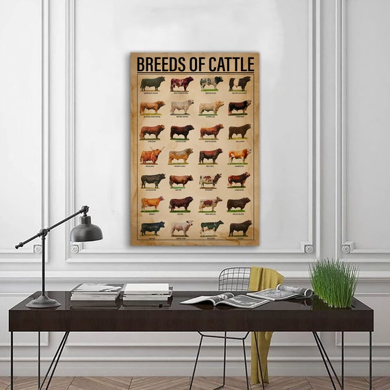 Breeds Of Cattle Wall Art Poster Anniversary Birthday Christmas Housewarming Gift Home Poster, Breeds Of Cattle Poster, Farm Poster