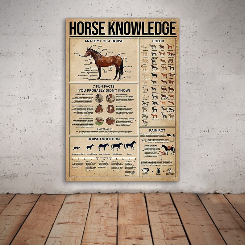 Horse Knowledge Horse Poster, Wall Art Home, Farm Knowledge Poster Home