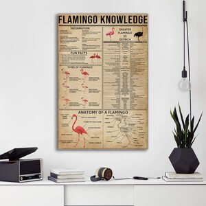 Flamingo Knowledge Poster, Flamingo Poster, Bird Lovers Art, Flamingo ...