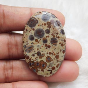 Puede incluir: Gema ovalada con un patrón moteado. La piedra presenta un color base beige con numerosos puntos y patrones circulares de color marrón oscuro y rojizo. La superficie pulida refleja la luz, resaltando las variaciones naturales de color y textura.