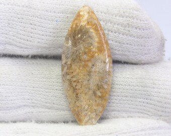 Excellent Top Grade Quality 100% Natural Fossil Coral Pear Shape Cabochon Loose Gemstone For Making Jewelry. 22 ct #508