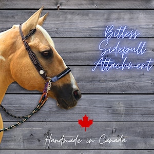 Side Pull Bitless Bridle Hackamore Attachment, Fancy Blue