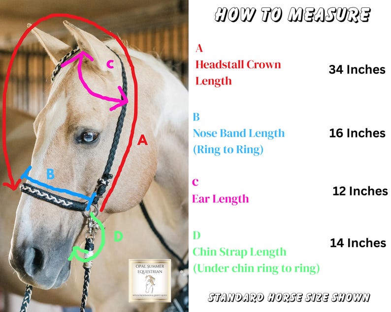 Hackamore Types Bitless Bridle, Side Pull Hackamore With Reins, Bitless Headstall ...