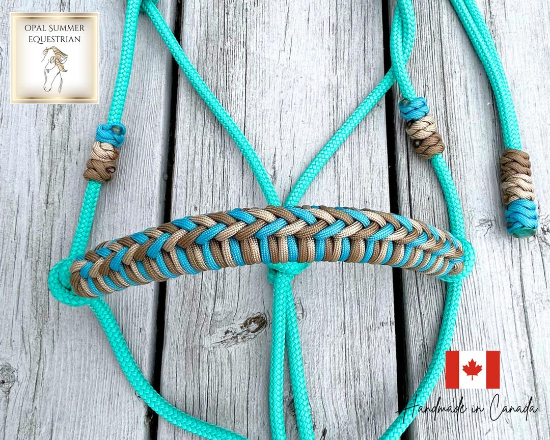Nose Rope Turquoise Braided Nose Rope Halter - Etsy