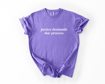 Justice Demands Due Process Gender-Neutral Comfort Colors 1717 Shirt