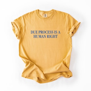 Due Process Is A Human Right Gender-Neutral Comfort Colors 1717 Shirt