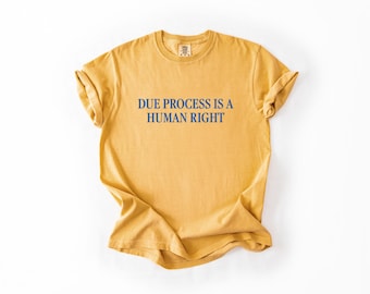 Due Process Is A Human Right Gender-Neutral Comfort Colors 1717 Shirt