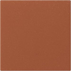 May include: A square, terracotta-colored tile with a slightly textured surface. The tile has a matte finish and a uniform color, with subtle variations in tone. The overall appearance is earthy and natural.