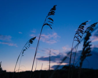 Carolina Beach at Sunset