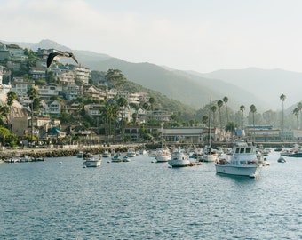 Avalon Harbor