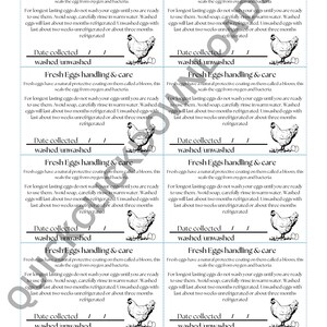 Egg Collection Tracker, Selling Log & Care Instructions – Digital Toolkit for Farmers and Chicken Owners