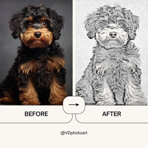 May include: Before and after image of a black and brown dog. The image on the left shows the dog in color, while the image on the right shows the dog in a black and white pencil sketch style. The text "BEFORE" is below the left image and the text "AFTER" is below the right image. The text "@VDphotoart" is below the images.