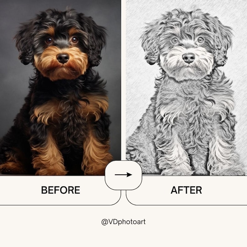 May include: Before and after image of a black and brown dog. The image on the left shows the dog in color, while the image on the right shows the dog in a black and white pencil sketch style. The text "BEFORE" is below the left image and the text "AFTER" is below the right image. The text "@VDphotoart" is below the images.