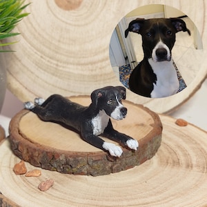 Puede incluir: Una figurita de perro blanco y negro tumbada sobre una base de madera. La figurita es una representación realista de un perro con pelaje negro y marcas blancas. La base está hecha de madera natural con una textura rugosa.