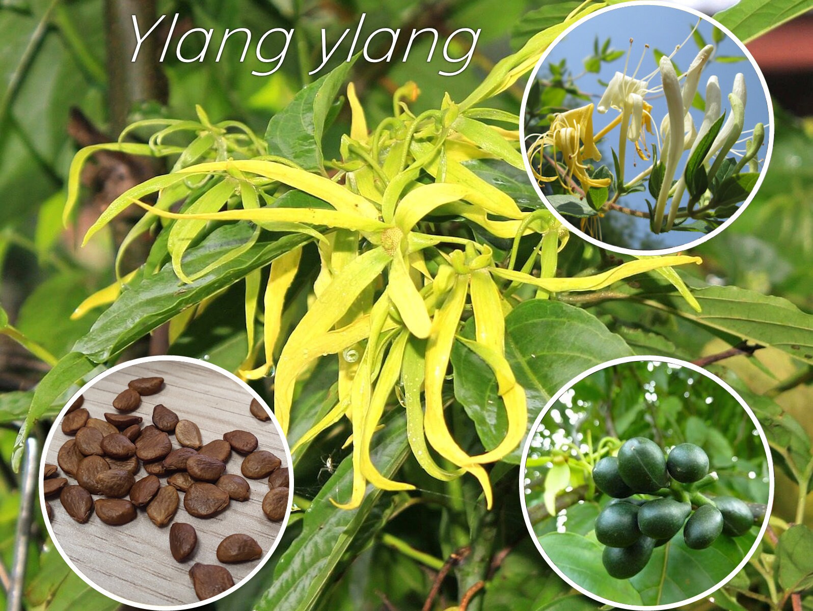 It uslubidagi rus xotinlarining shaxsiy porno fotosuratlari