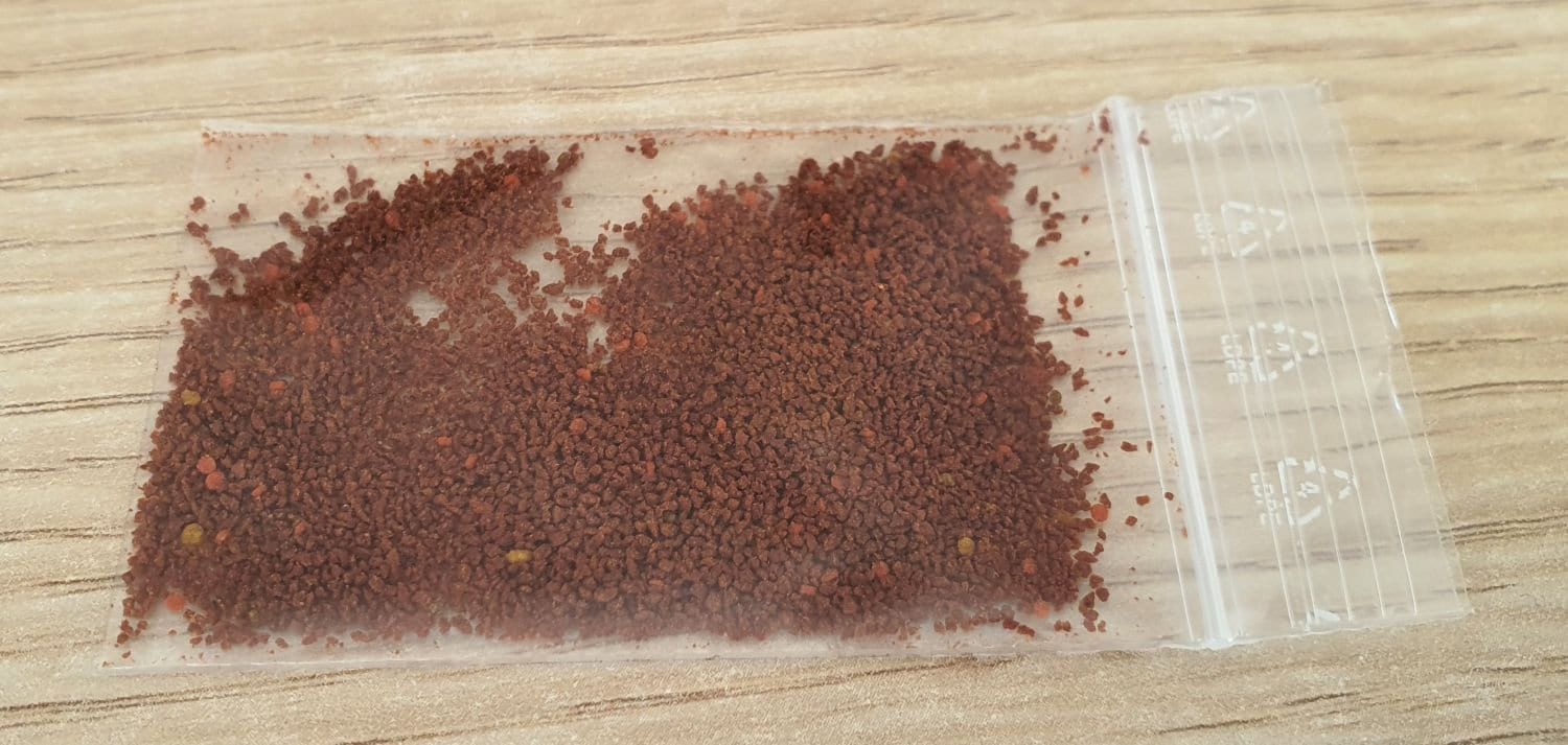 Kit 50 Oeufs de Triops Australiensis Queensland + Alimentation