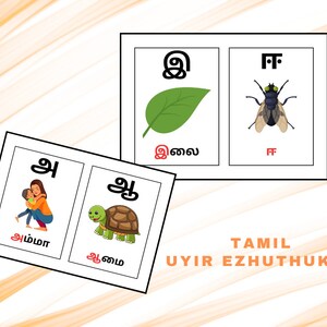 TAMIL Numbers in Words Counting Flashcards Learn Tamil -  Sweden